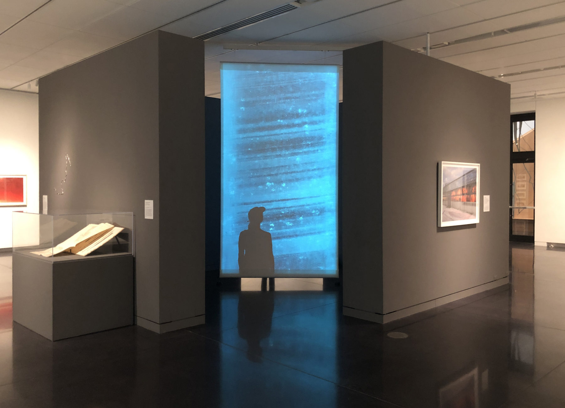 88 Cores
Documenting Change: Our Climate (Past Present Future)
CU University Art Museum Boulder 2019
