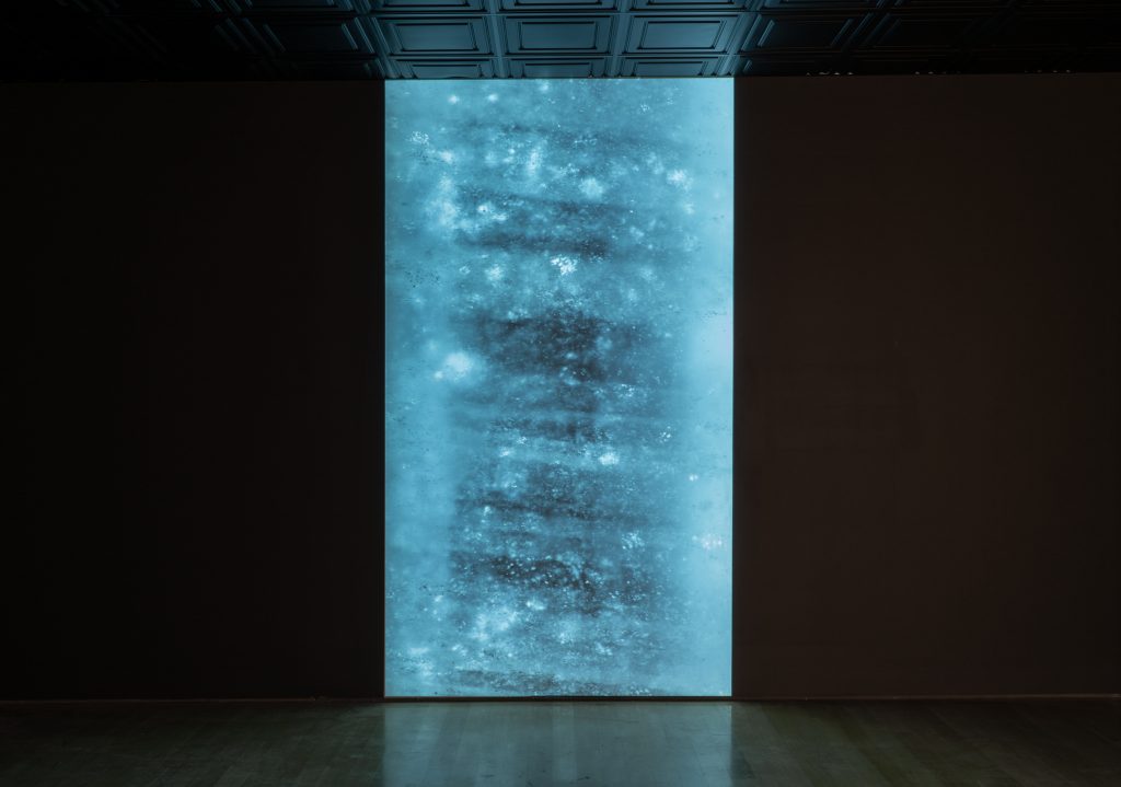 88 Cores - Peggy Weil Studio